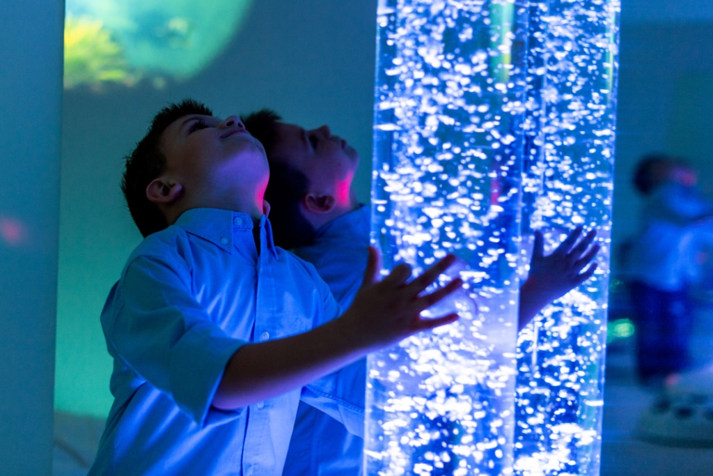 Sensory rooms Australia - bubble tube